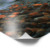 Point Judith Phare de la mer Photo Imprimer (Coin)