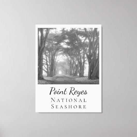 Point Reyes Canvas Afdruk (Voorkant)