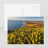 Point Reyes National Seashore California Briefkaart (Voorkant / Achterkant)