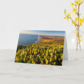 Point Reyes National Seashore California Kaart (Gele Bloem)