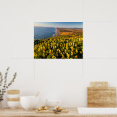 Point Reyes National Seashore California Poster (Keuken)