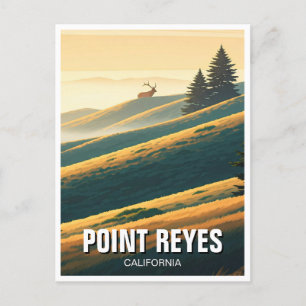 Point Reyes National Seashore Elk Briefkaart