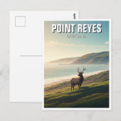 Point Reyes National Seashore Elk Briefkaart (Voorkant / Achterkant)
