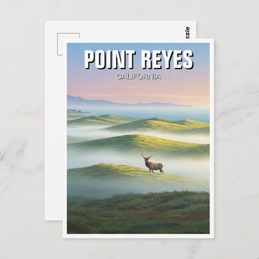 Point Reyes National Seashore Elk Briefkaart (Voorkant / Achterkant)