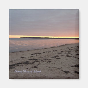 Point rouge, aimant de PEI