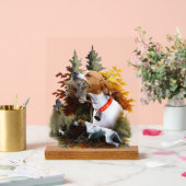 Pointer Anglais (Mariage)