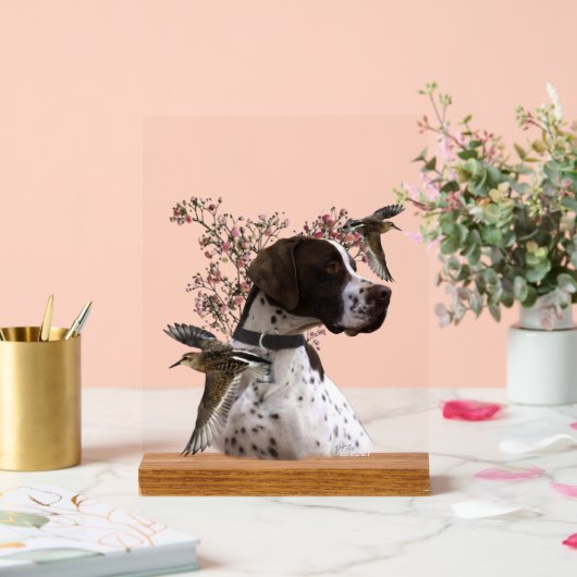 Pointer Anglais (Mariage)