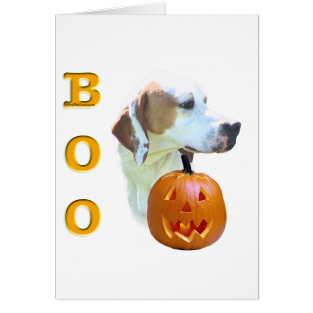 Pointer (Citroen Gecoat) Boo (Voorkant)