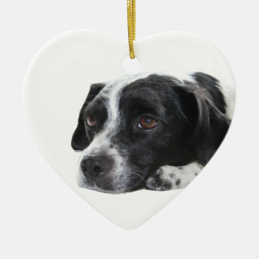 Pointer Dog Ornament (Voorkant)