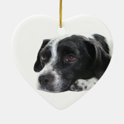 Pointer Dog Ornament (Achterkant)