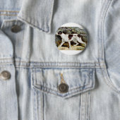 Pointer Dog Water, kleur Ronde Button 5,7 Cm (In situ)