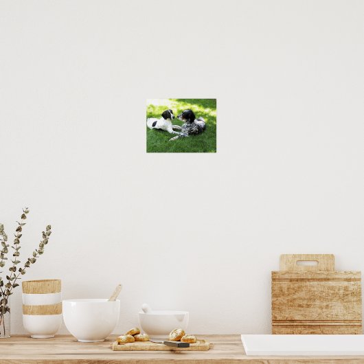 Pointer en Setter Love Poster (Keuken)