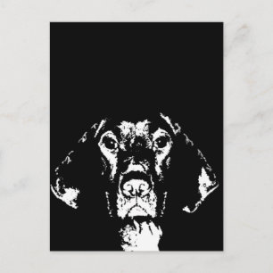 Pointer Gifts - Briefkaart