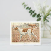 Pointer Honden Ansichtkaart Briefkaart (Staand voorkant)