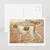 Pointer Honden Ansichtkaart Briefkaart (Voorkant / Achterkant)