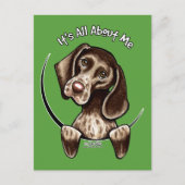 Pointer IAAM Briefkaart (Voorkant)