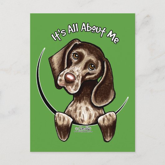 Pointer IAAM Briefkaart (Voorkant)