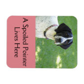 Pointer Love Magneet (Horizontaal)