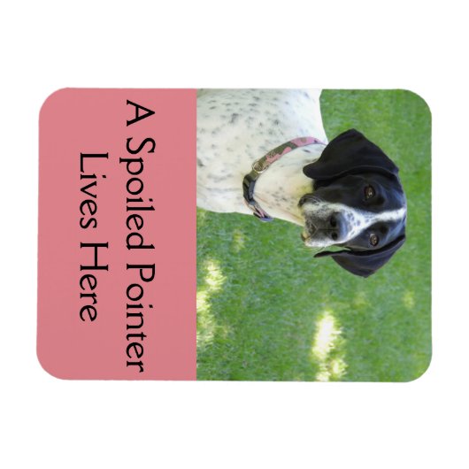 Pointer Love Magneet (Horizontaal)