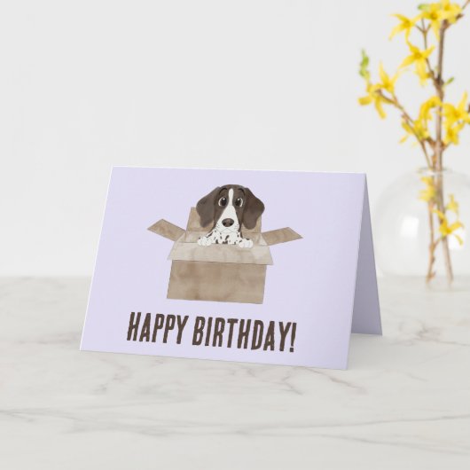 Pointer Puppy in Box Verjaardag Kaart (Gele Bloem)