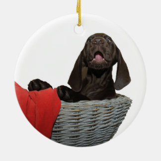 Pointer Zuster in een mandje Keramisch Ornament