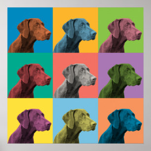 Pointeur à courte portée allemand Poster pop-art