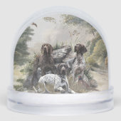 Pointeur à poils courts allemand (Avant)