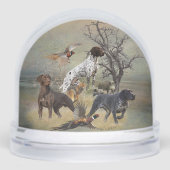 Pointeur à poils courts allemand (Avant)