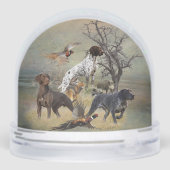 Pointeur à poils courts allemand (Arrière)