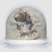 Pointeur à poils courts allemand (Avant)