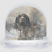 Pointeur à poils courts allemand (Arrière)