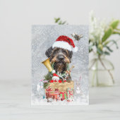 Pointeur À poils durs allemand, carte de chasse de (Debout devant)