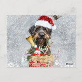 Pointeur À poils durs allemand, carte de chasse de (Dos)