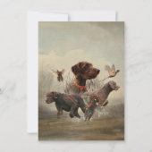 Pointeur À poils durs allemand, carte de chasse de (Dos)