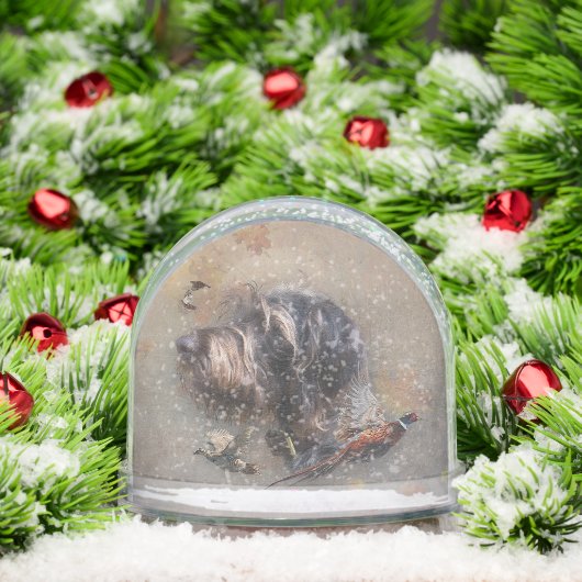 Pointeur À poils durs allemand, Chasse (Noël)