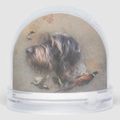 Pointeur À poils durs allemand, Chasse (Arrière)