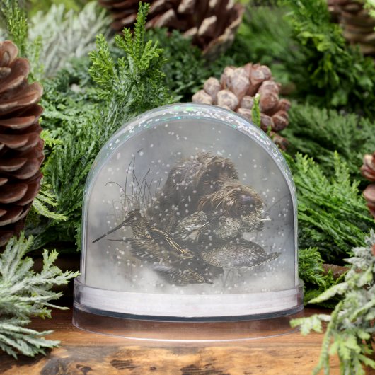 Pointeur À poils durs allemand, Chasse (Hiver)