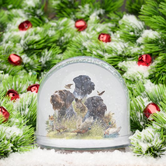 Pointeur À poils durs allemand, Chasse (Noël)