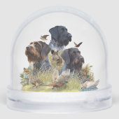 Pointeur À poils durs allemand, Chasse (Arrière)