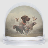 Pointeur À poils durs allemand, Chasse (Avant)