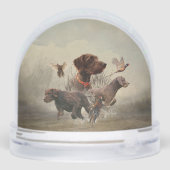 Pointeur À poils durs allemand, Chasse (Arrière)