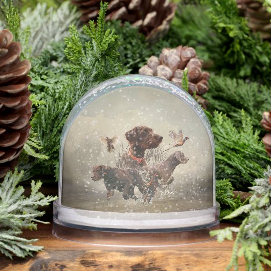 Pointeur À poils durs allemand, Chasse (Hiver)