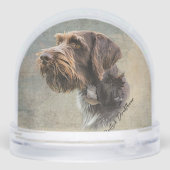 Pointeur À poils durs allemand, Chasse (Arrière)