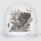 Pointeur À poils durs allemand, Chasse (Arrière)