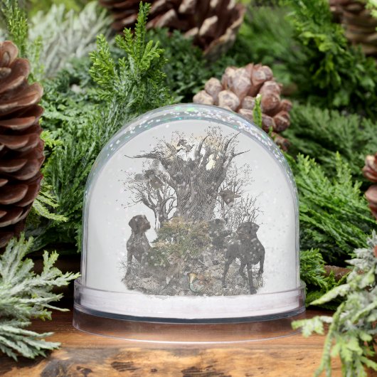 Pointeur À poils durs allemand, Chasse (Hiver)