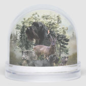 Pointeur À poils durs allemand, Chasse (Avant)