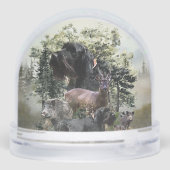 Pointeur À poils durs allemand, Chasse (Arrière)