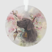 Pointeur court allemand (dos)