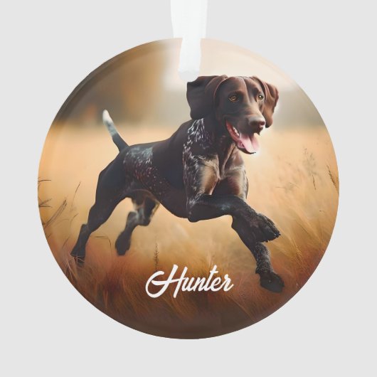 Pointeur court allemand en cours d'exécution (dos)