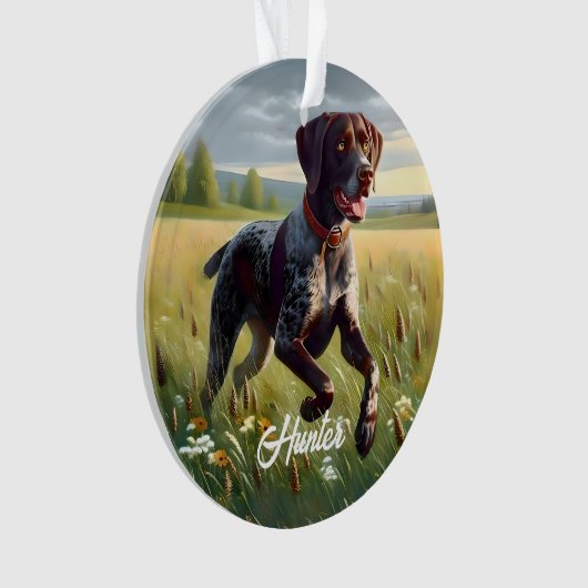 Pointeur court allemand en cours d'exécution (devant)